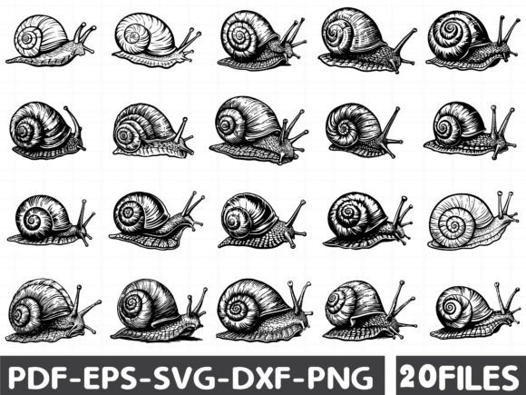 Seashell Monochrome Clip Art SVG